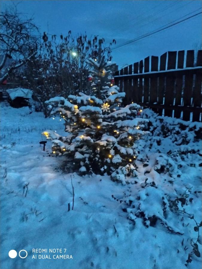 Vila Kotej Kresanya Mykulyčyn Exteriér fotografie