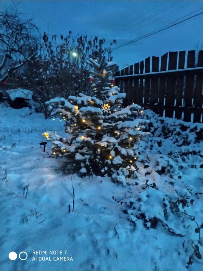 Котедж Кресаня Mykulyčyn Exteriér fotografie
