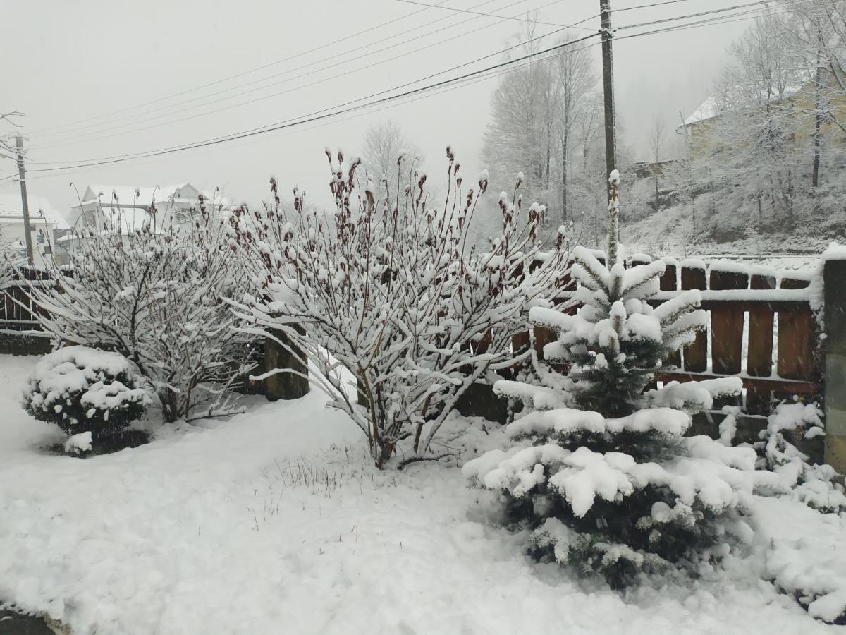 Vila Kotej Kresanya Mykulyčyn Exteriér fotografie