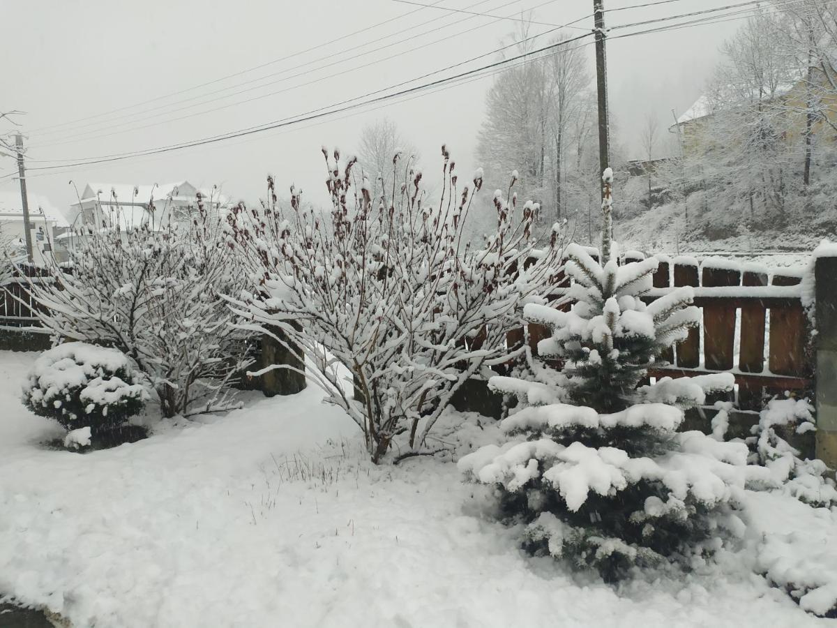 Котедж Кресаня Mykulyčyn Exteriér fotografie